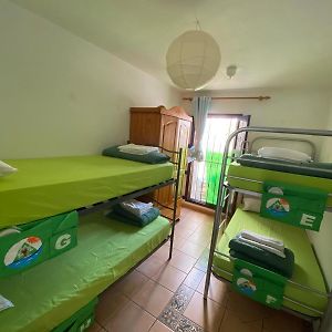 Dormitory Room Mixed
